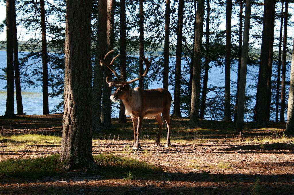 Lohijaerven Eraekeskus Hotel Lohijärvi Kültér fotó